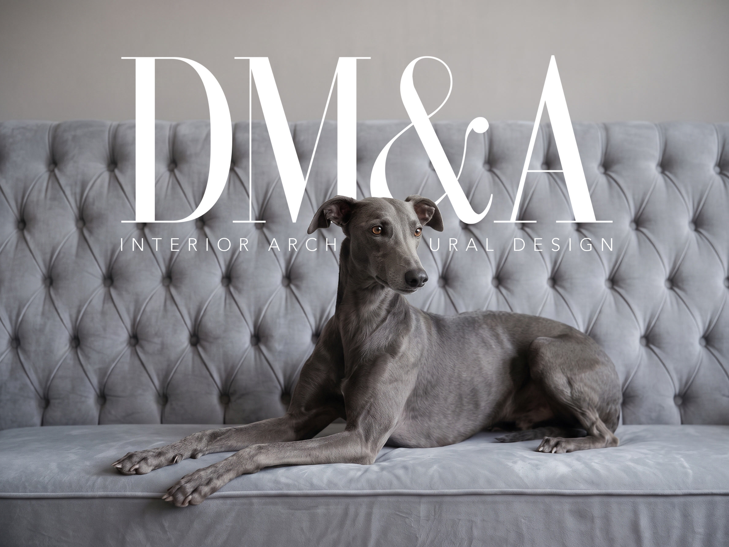 A grey whippet lying centred on a deep-buttoned grey velvet sofa, its head turned to look past the camera, the DM&A lockup and Interior Architectural Design set across the sofa back above it.