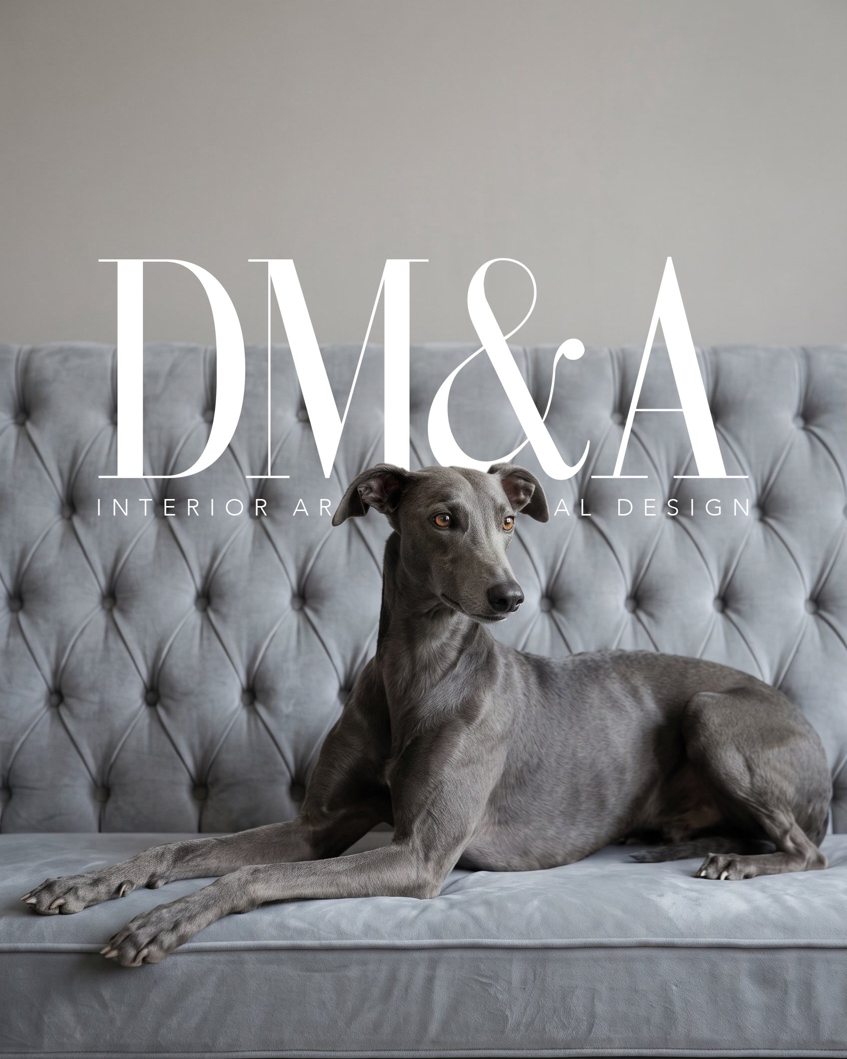 A grey whippet lying on a deep-buttoned grey velvet sofa, the DM&A interior architectural design wordmark set across the wall behind it.